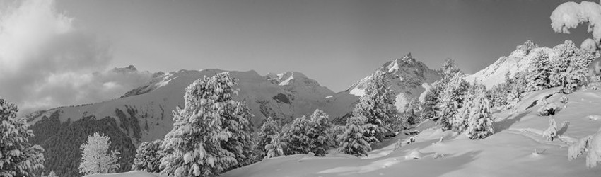 Vallon de l'orgere en hiver