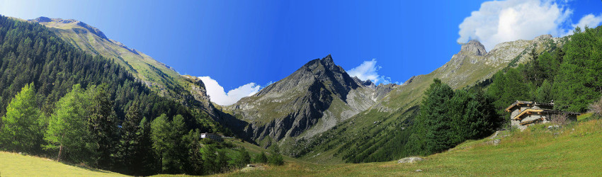 Vallon de l'orgere en été